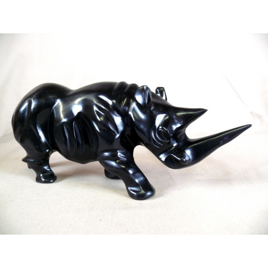 Rhinoceros En Ebene