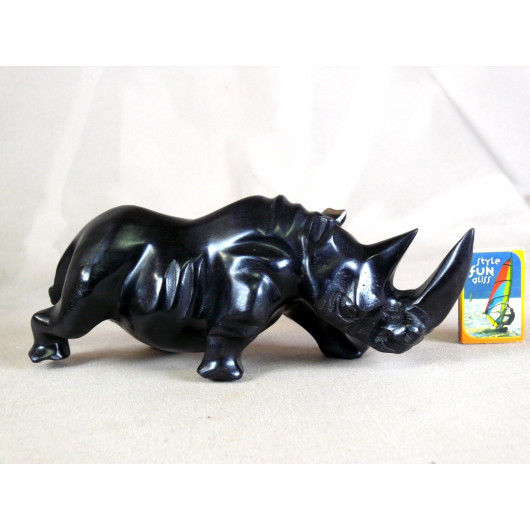 Rhinoceros En Ebene