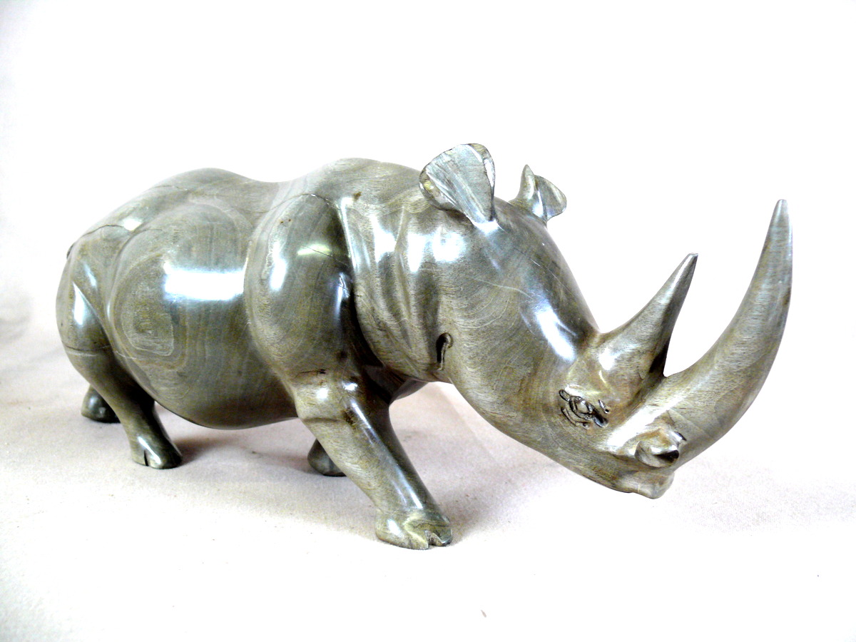 rhinoceros ebene gris